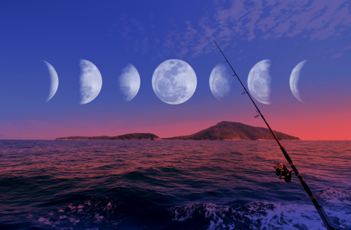 Лунный календарь на 2026 год: фазы и циклы Луны на каждый месяц