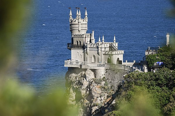 «Главное — не количество лап, а сила духа» Самые добрые и трогательные истории 2025 года, заставляющие поверить в чудо