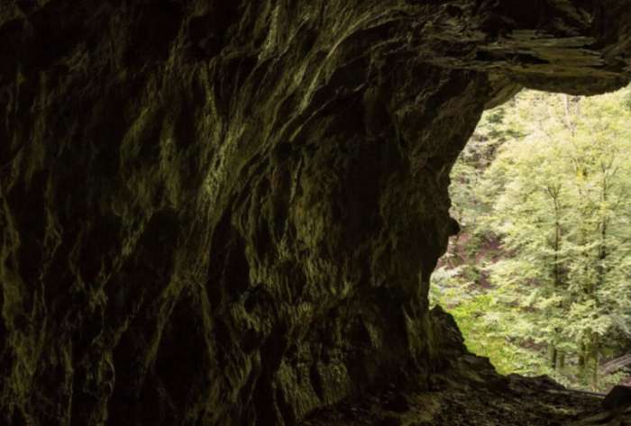 «...ное окно»: найден старейший наскальный рисунок в мире