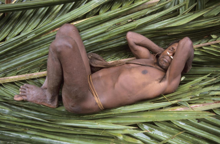 Древолазы-каннибалы: как живут последние первобытные люди на Земле