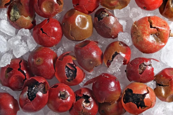 Макросъёмка микромира