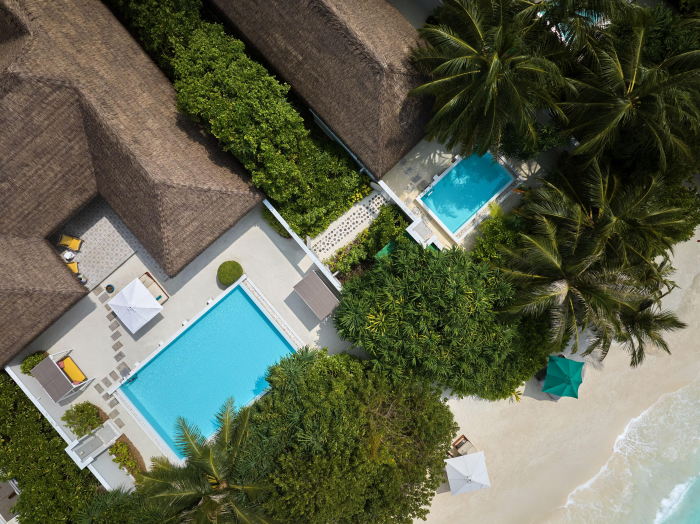 Победить стресс, подружиться с черепахой и прикоснуться к Луне: чем заняться в отпуске в апреле 2026