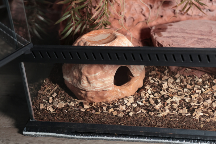 Первый террариум для первой змеи