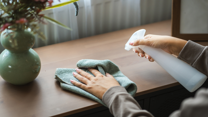 Правда ли, что пыль — это частицы человеческой кожи