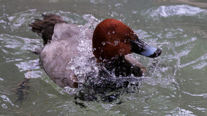 Turogo.ru - Туризм, охота и рыбалка