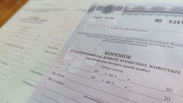 Минлесхоз начал прием на жеребьевку добычи копытных и бурого медведя